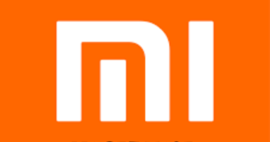 Mi Service Center in Botad